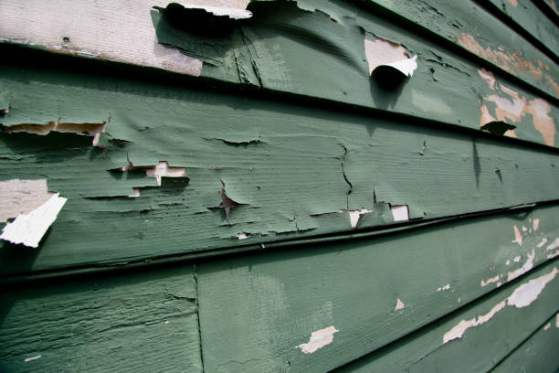 Storm Damage Siding Repair in Hamilton, AL