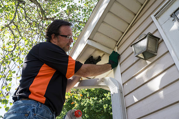 Best Brick Veneer Siding  in Hamilton, AL